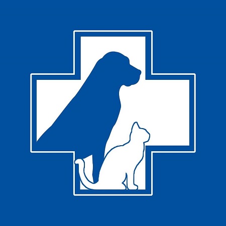 ინგლისურის მასწავლებელი თქვენთვის!