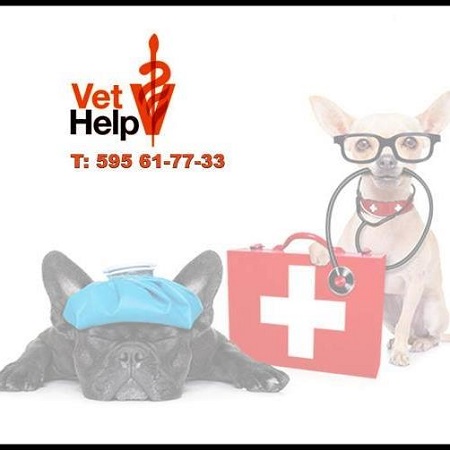 ინგლისურის მასწავლებელი თქვენთვის!