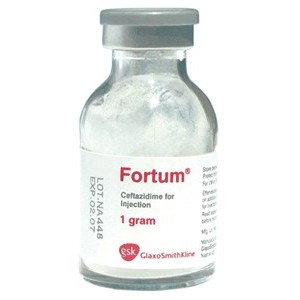 ფორტუმი / fortumi / FORTUM