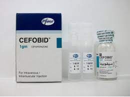 ცეფობიდი / cefobidi / CEFOBID