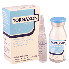 ტორნაქსონი / tornaqsoni / TORNAXON
