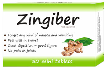 ზინგიბერი / zingiberi / Zingiber