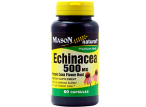 ექინაცია / eqinacia / Echinacea