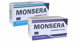 მონსერა / monsera / MONSERA