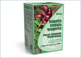 წითელი მოცვის ფოთოლი / witeli mocvis fotoli / Folia Vaccini vitis-idaea